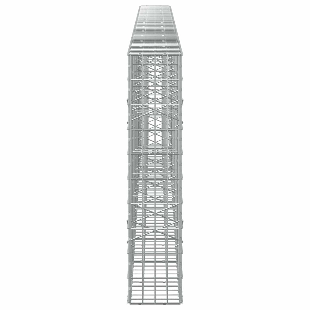 vidaXL Gabion z drutem 5 mm i siatką 5x10 cm 600x20x100 cm