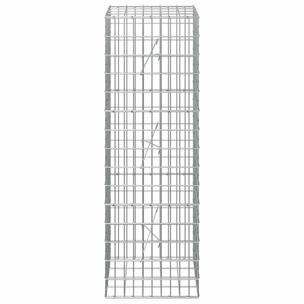 vidaXL Gabion z drutem 5 mm i siatką 5x10 cm 50x20x150 cm