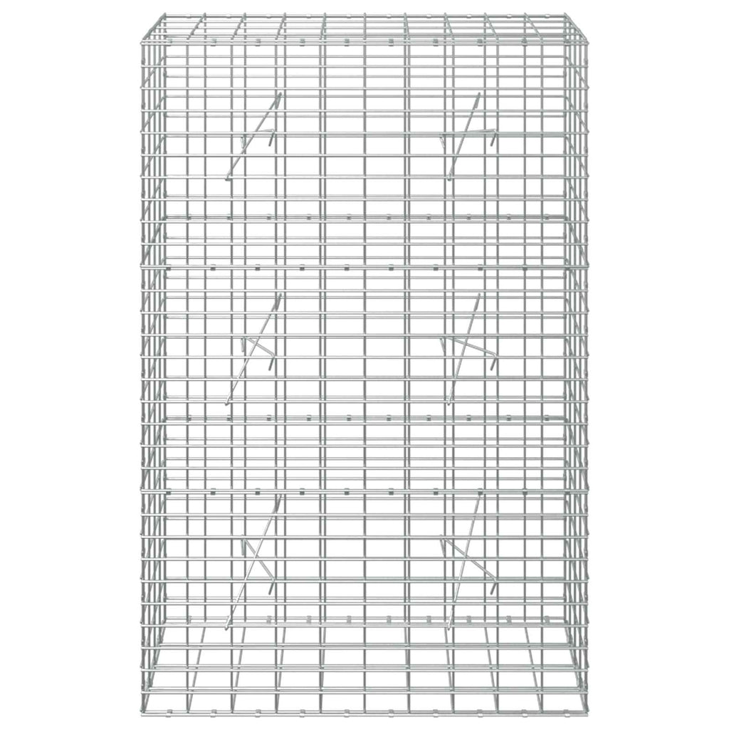 vidaXL Gabion z drutem 5 mm i siatką 5x10 cm 100x20x150 cm