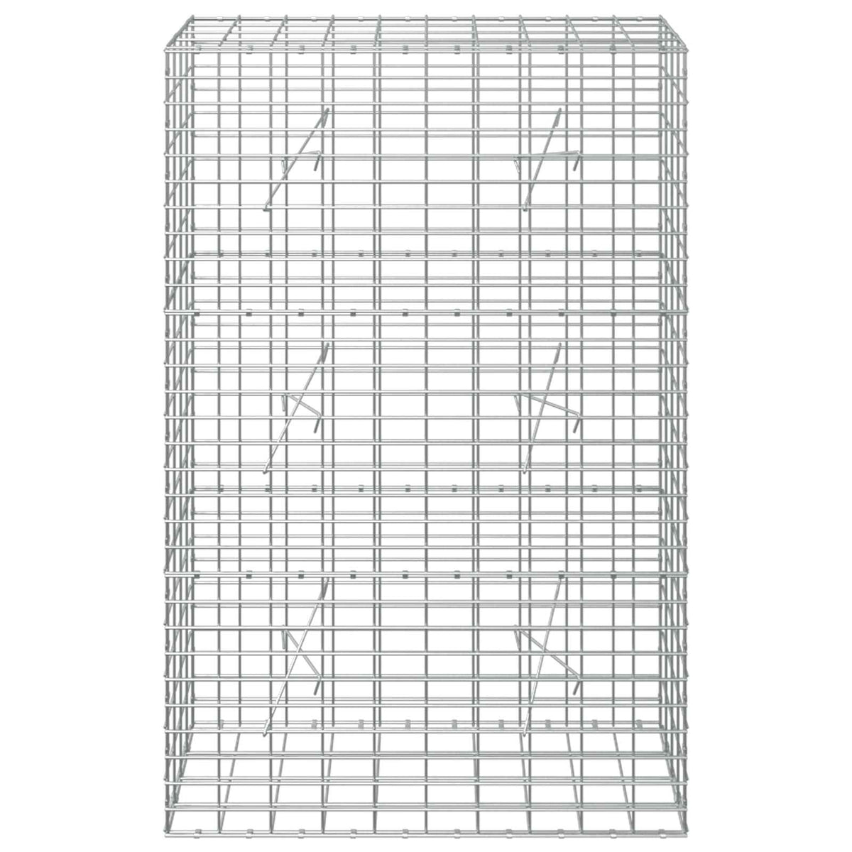 vidaXL Gabion z drutem 5 mm i siatką 5x10 cm 100x20x150 cm