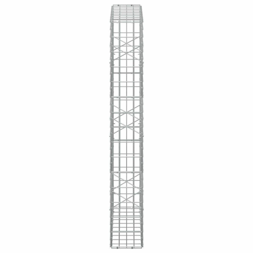 vidaXL Gabion z drutem 5 mm i siatką 5x10 cm 100x20x150 cm