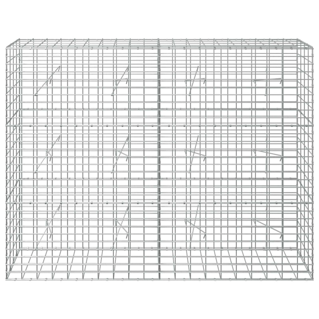 vidaXL Gabion z drutem 5 mm i siatką 5x10 cm 200x20x150 cm