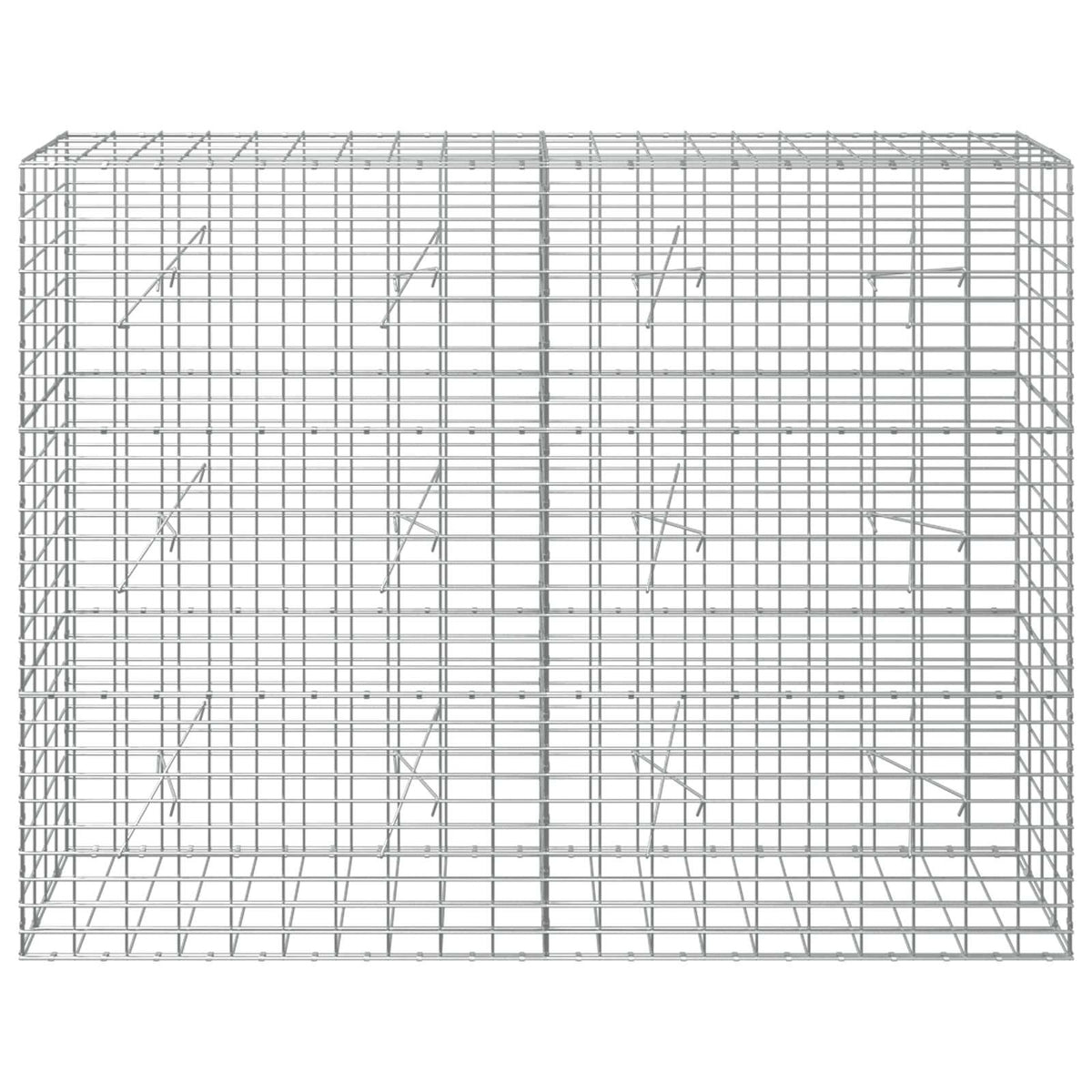 vidaXL Gabion z drutem 5 mm i siatką 5x10 cm 200x20x150 cm