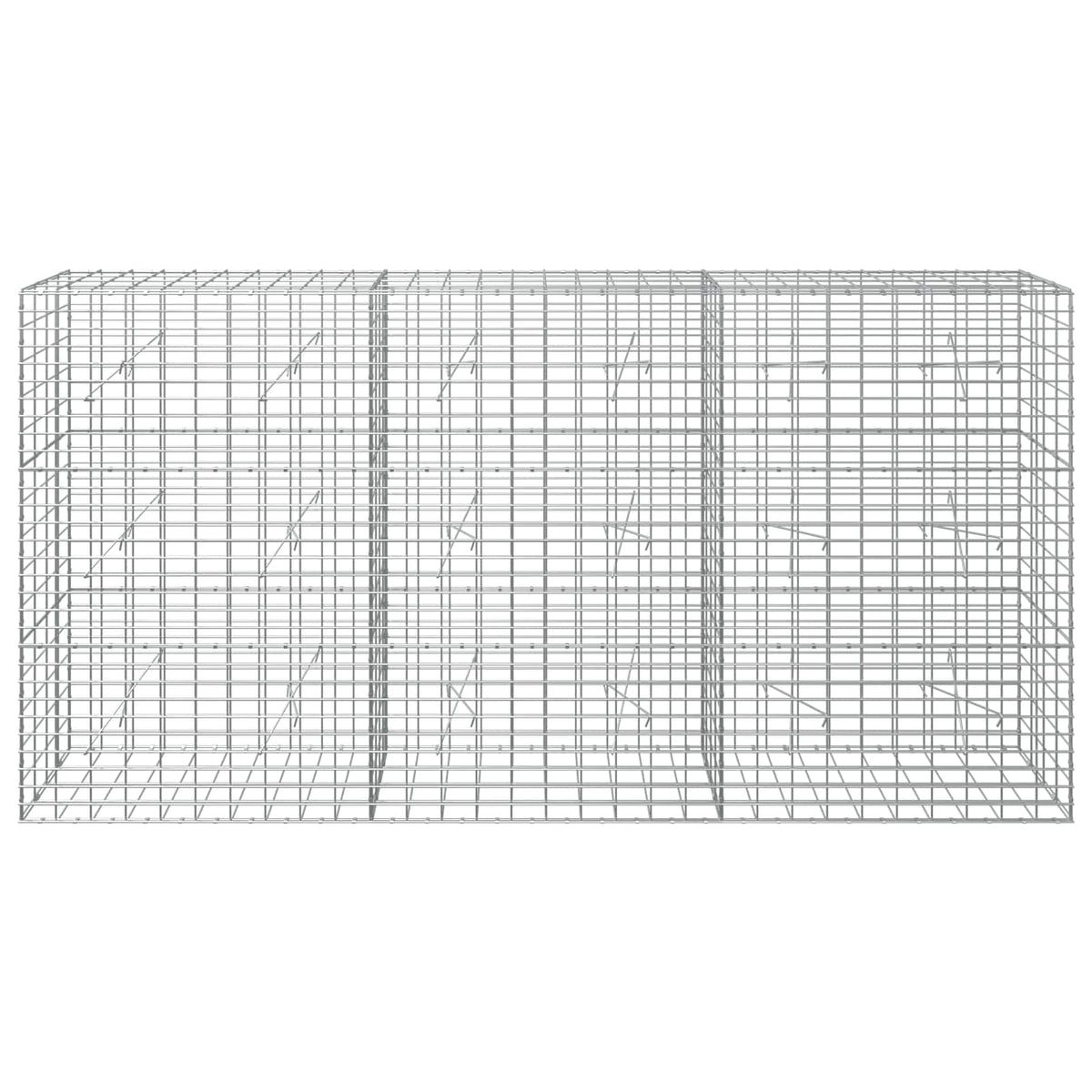 vidaXL Gabion z drutem 5 mm i siatką 5x10 cm 300x20x150 cm