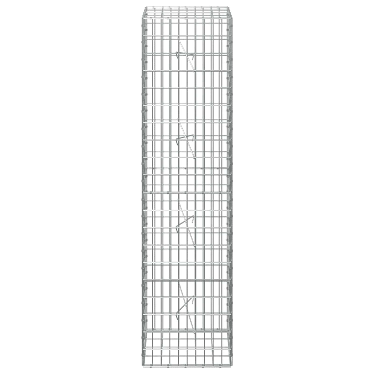 vidaXL Gabion z drutem 5 mm i siatką 5x10 cm 50x20x200 cm