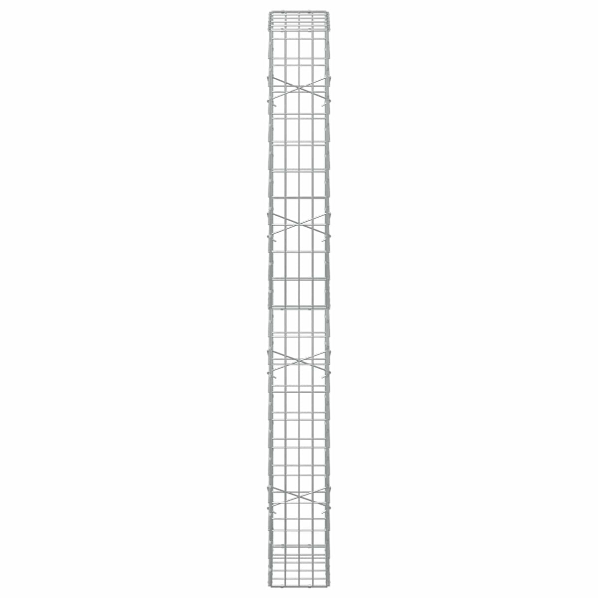 vidaXL Gabion z drutem 5 mm i siatką 5x10 cm 50x20x200 cm