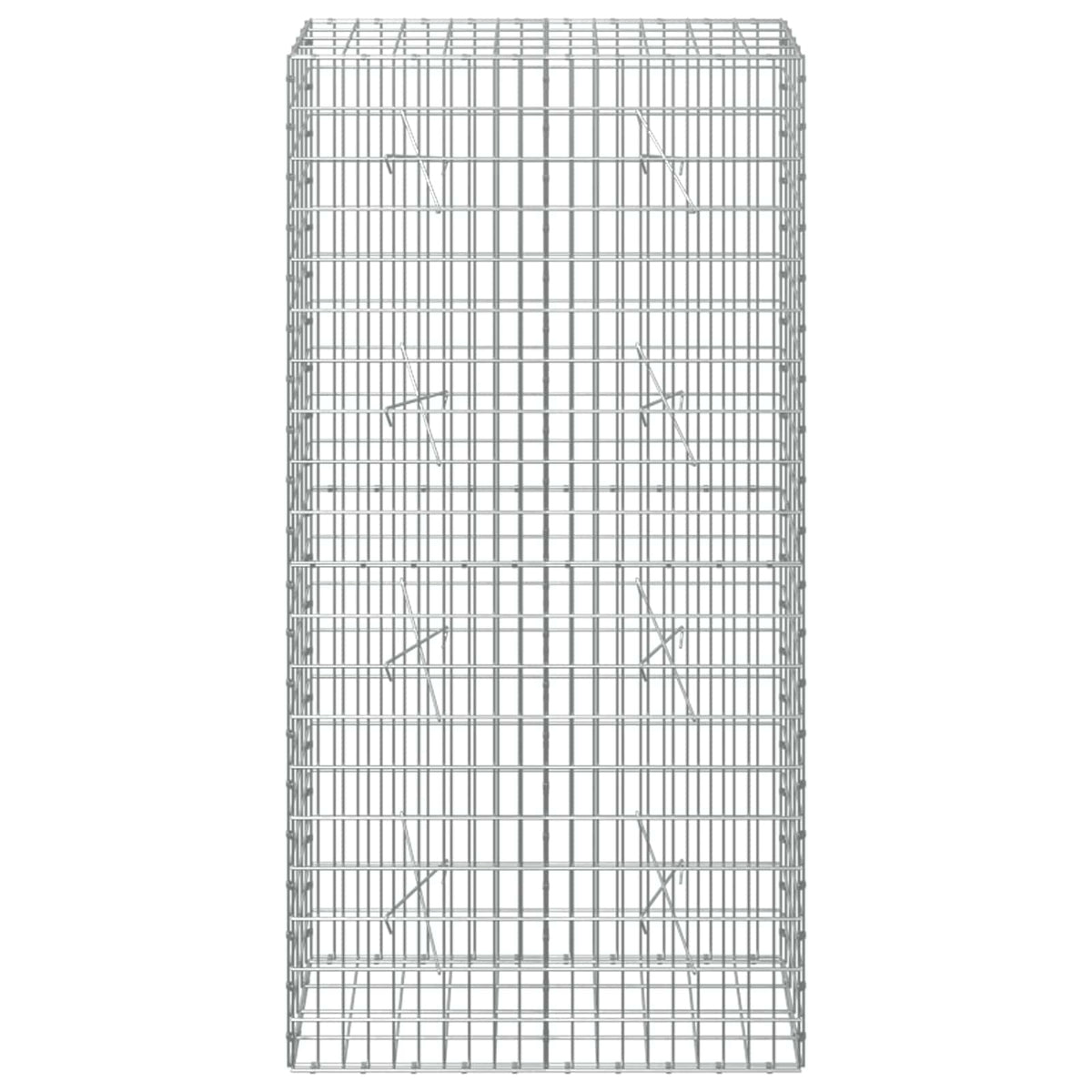 vidaXL Gabion z drutem 5 mm i siatką 5x10 cm 100x20x200 cm