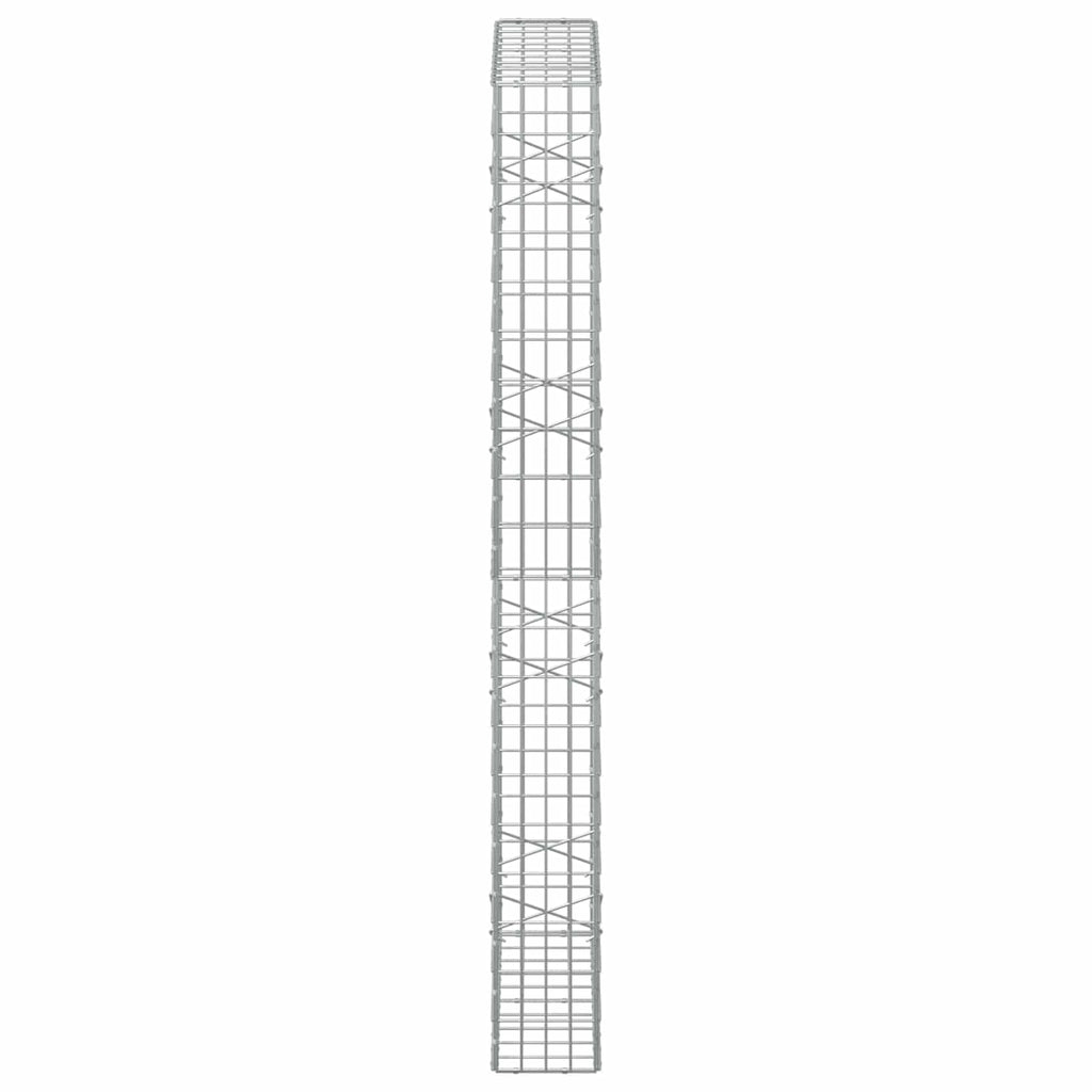 vidaXL Gabion z drutem 5 mm i siatką 5x10 cm 100x20x200 cm