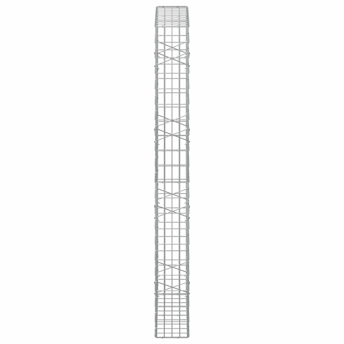 vidaXL Gabion z drutem 5 mm i siatką 5x10 cm 100x20x200 cm