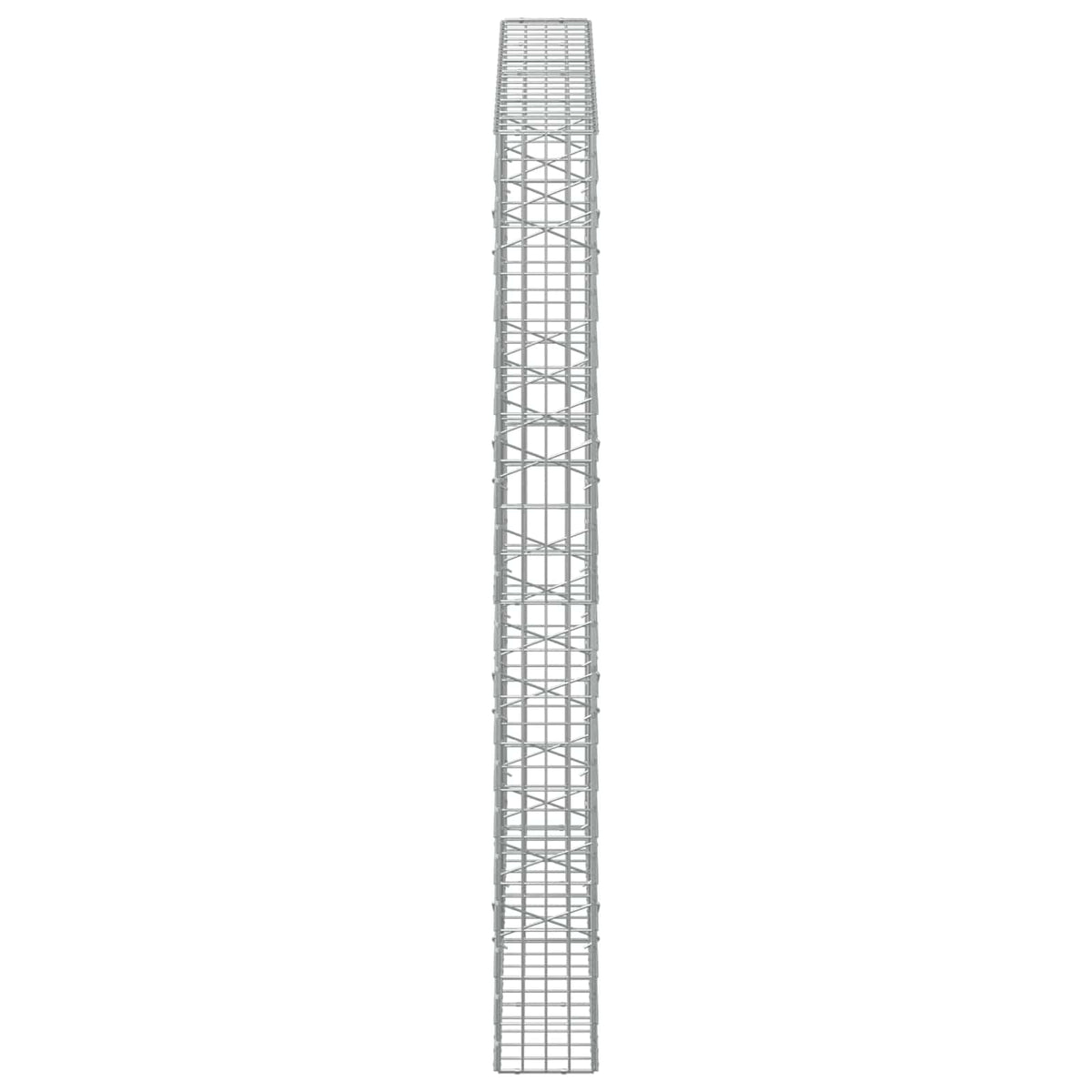 vidaXL Gabion z drutem 5 mm i siatką 5x10 cm 200x20x200 cm