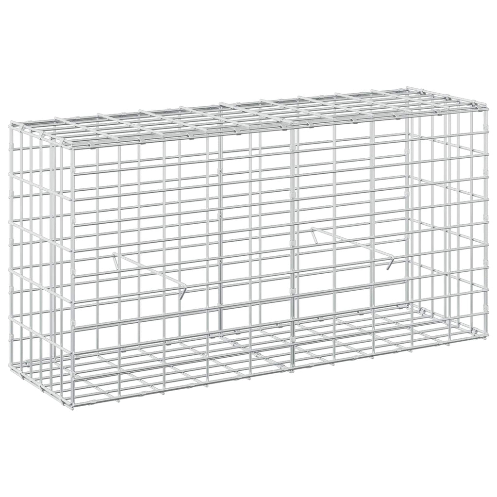 vidaXL Gabion z drutem 5 mm i siatką 5x10 cm 100x30x50 cm