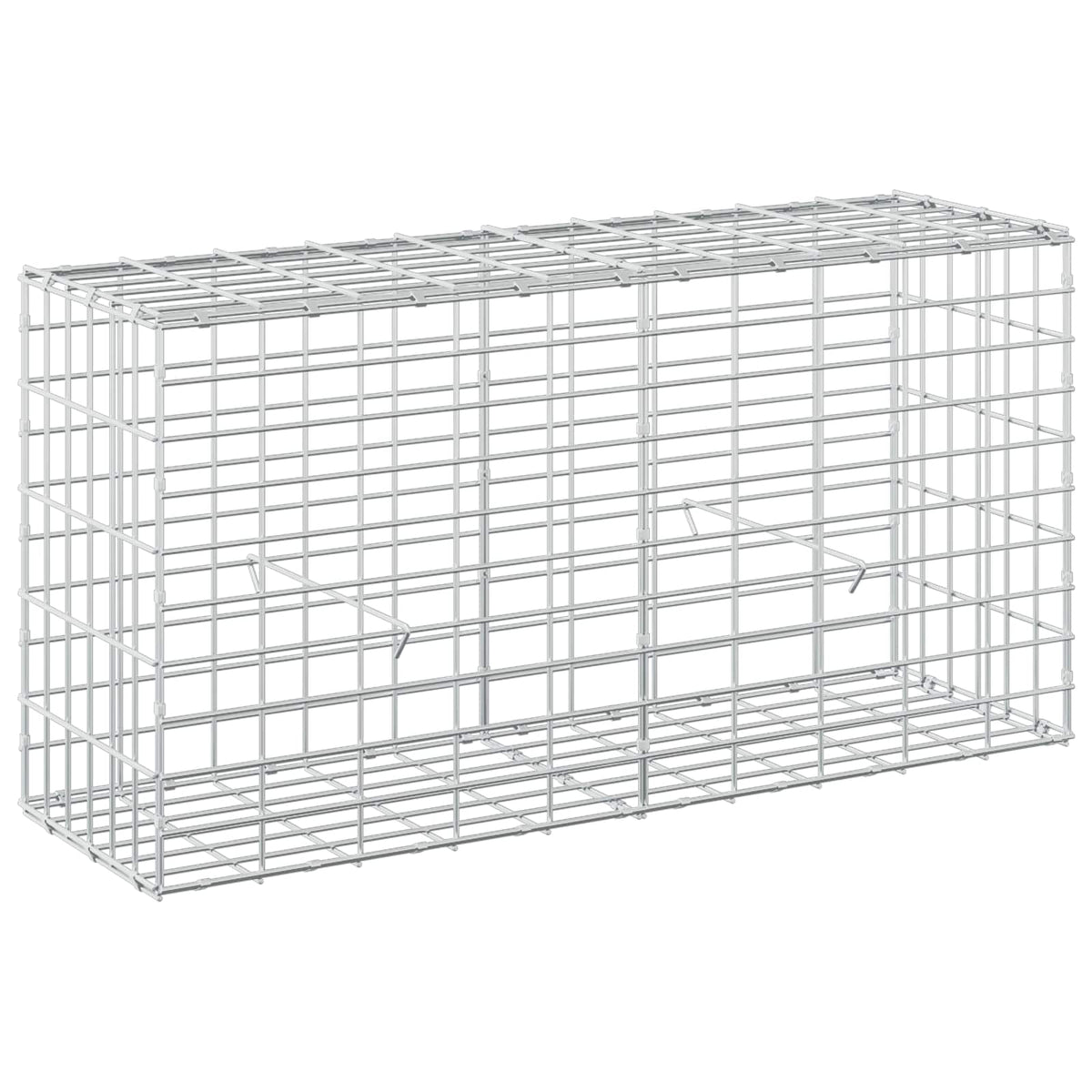 vidaXL Gabion z drutem 5 mm i siatką 5x10 cm 100x30x50 cm