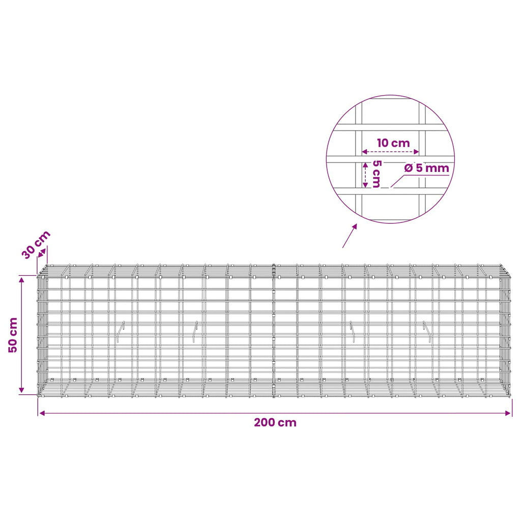 vidaXL Gabion z drutem 5 mm i siatką 5x10 cm 200x30x50 cm