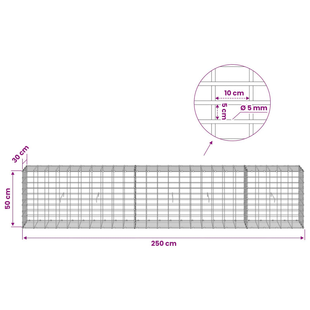 vidaXL Gabion z drutem 5 mm i siatką 5x10 cm 250x30x50 cm