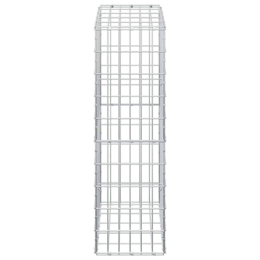 vidaXL Gabion z drutem 5 mm i siatką 5x10 cm 50x30x100 cm