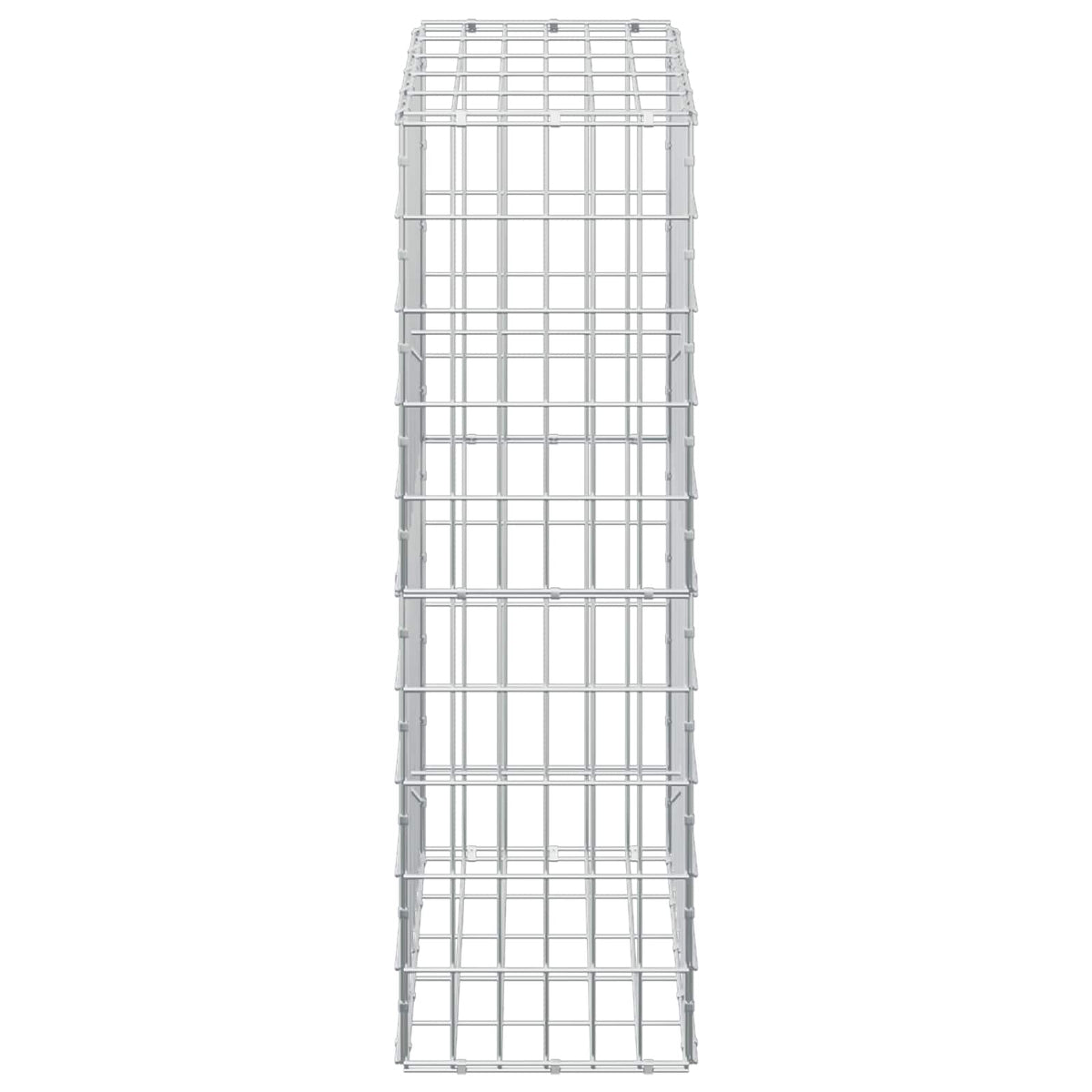 vidaXL Gabion z drutem 5 mm i siatką 5x10 cm 50x30x100 cm