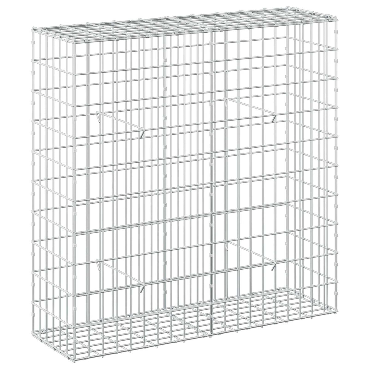 vidaXL Gabion z drutem 5 mm i siatką 5x10 cm 100x30x100 cm