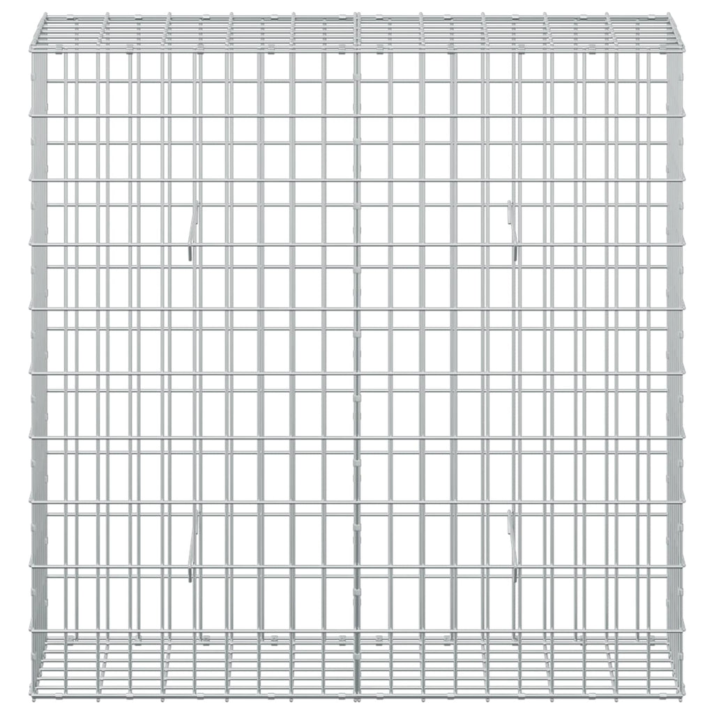 vidaXL Gabion z drutem 5 mm i siatką 5x10 cm 100x30x100 cm