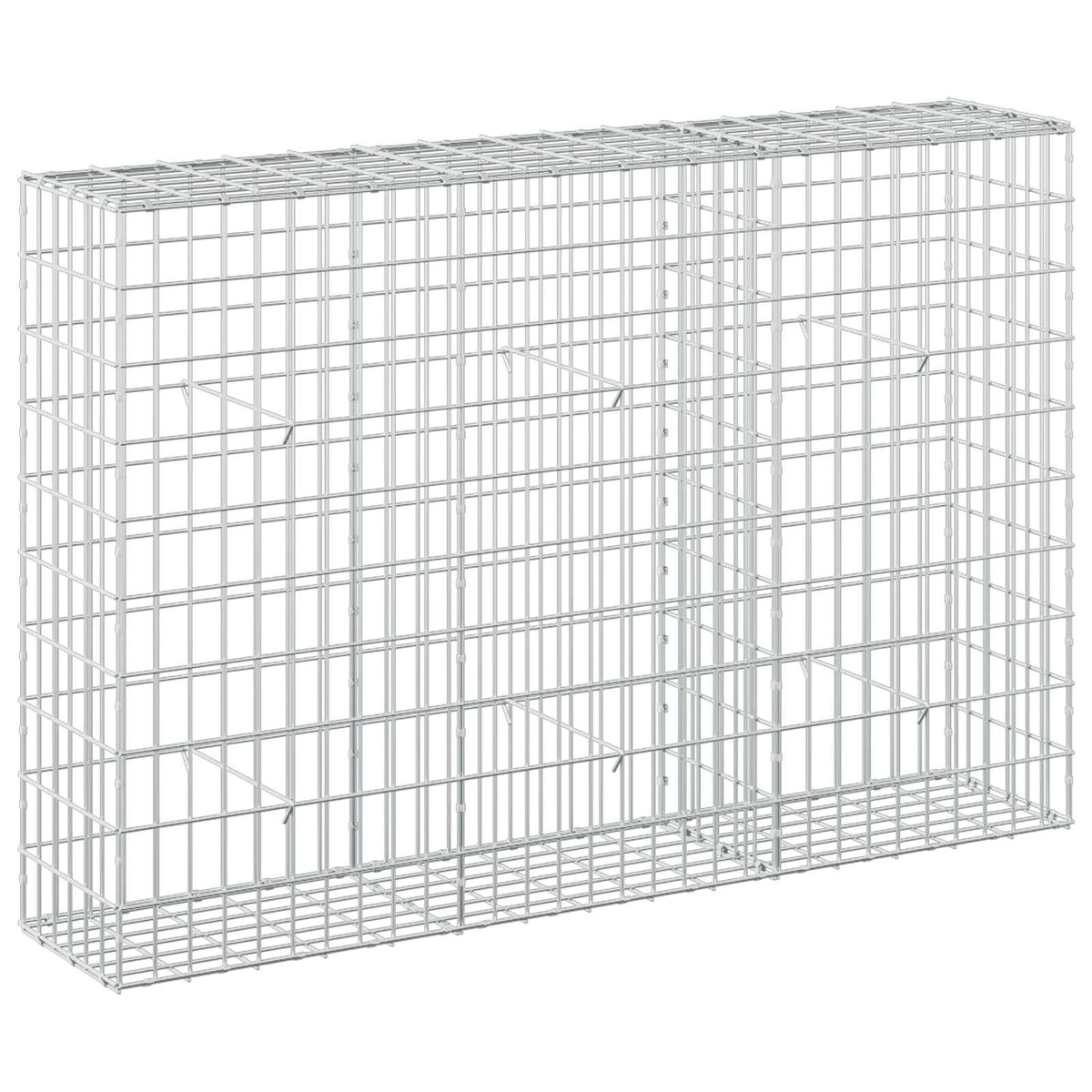 vidaXL Gabion z drutem 5 mm i siatką 5x10 cm 150x30x100 cm