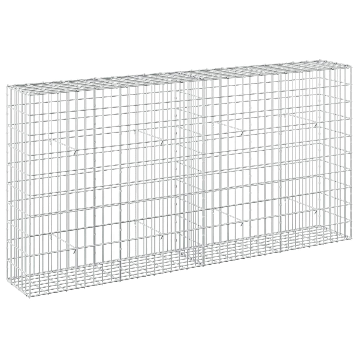 vidaXL Gabion z drutem 5 mm i siatką 5x10 cm 200x30x100 cm