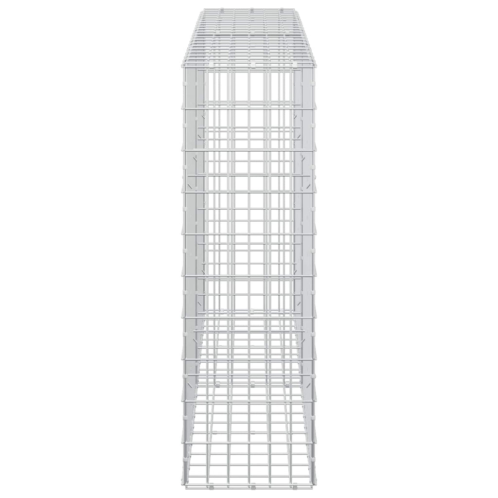 vidaXL Gabion z drutem 5 mm i siatką 5x10 cm 200x30x100 cm