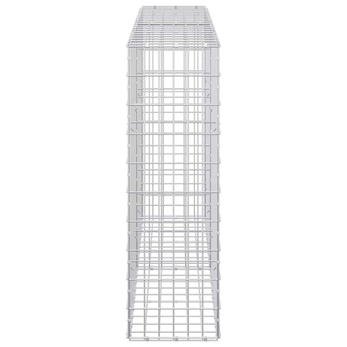 vidaXL Gabion z drutem 5 mm i siatką 5x10 cm 200x30x100 cm