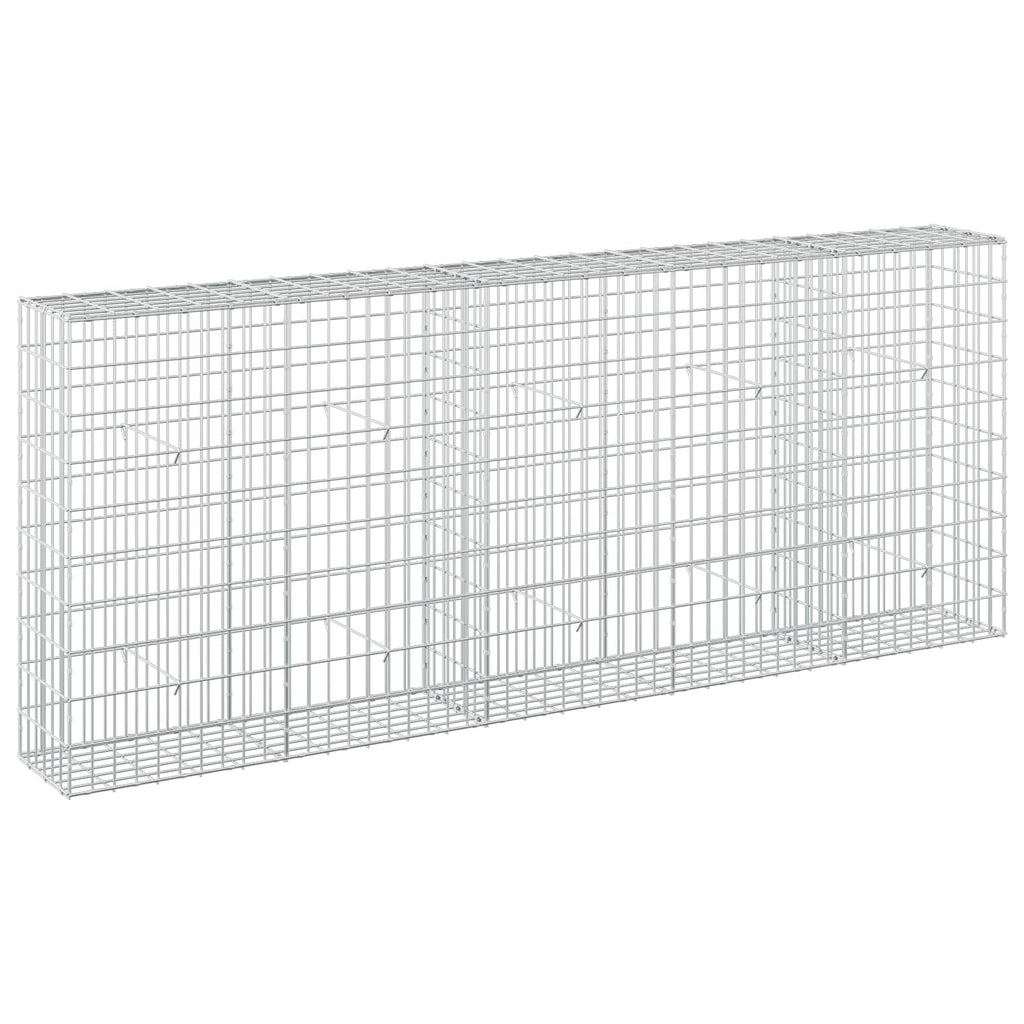 vidaXL Gabion z drutem 5 mm i siatką 5x10 cm 250x30x100 cm