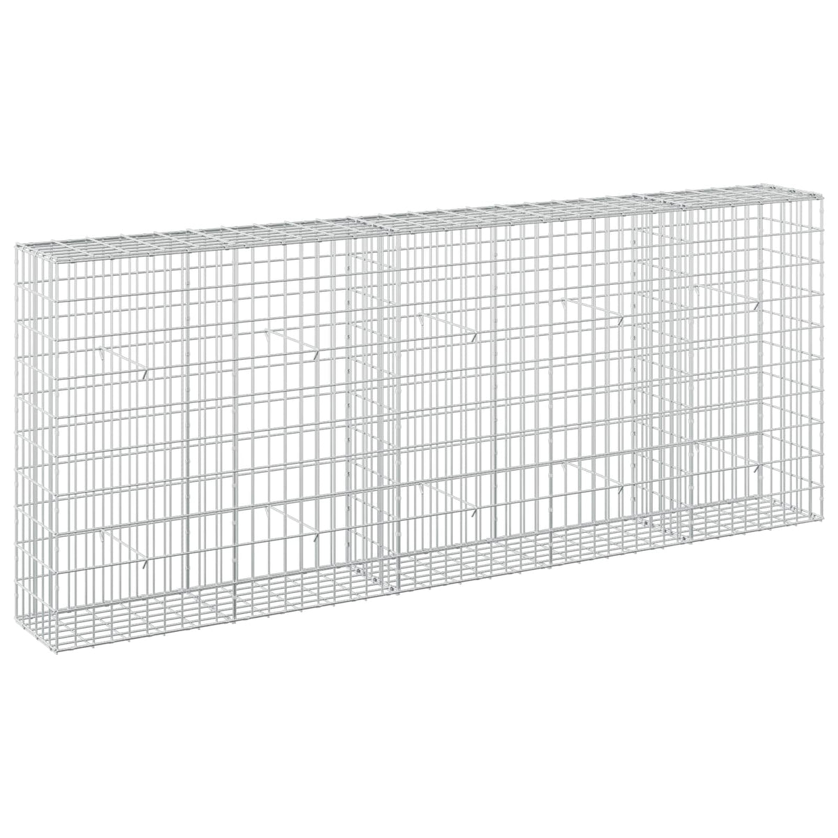 vidaXL Gabion z drutem 5 mm i siatką 5x10 cm 250x30x100 cm
