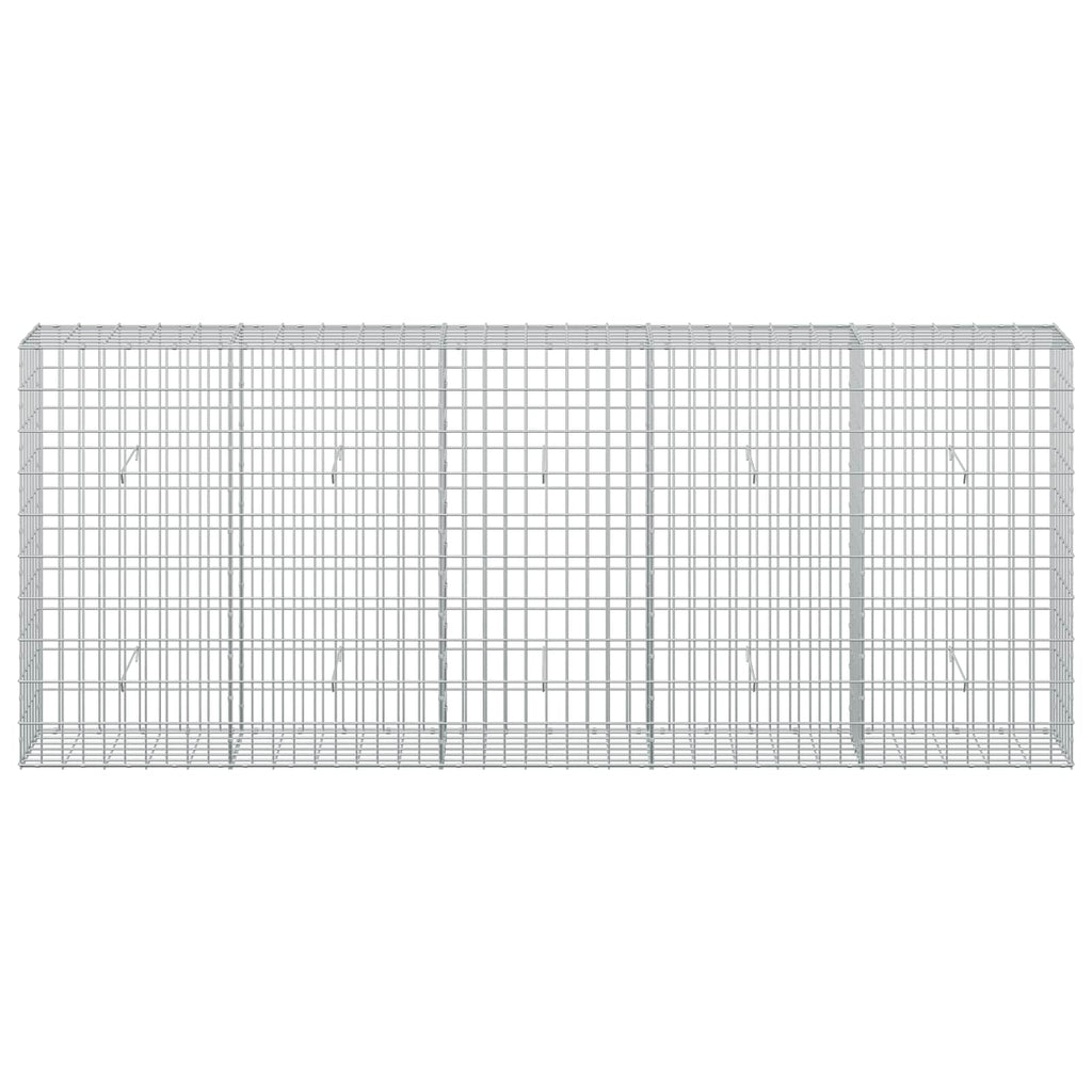 vidaXL Gabion z drutem 5 mm i siatką 5x10 cm 250x30x100 cm