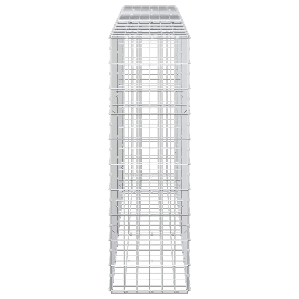 vidaXL Gabion z drutem 5 mm i siatką 5x10 cm 250x30x100 cm