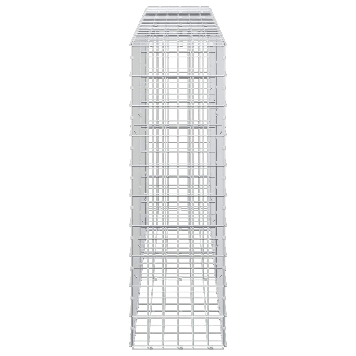 vidaXL Gabion z drutem 5 mm i siatką 5x10 cm 250x30x100 cm
