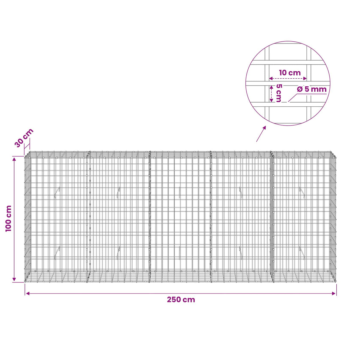 vidaXL Gabion z drutem 5 mm i siatką 5x10 cm 250x30x100 cm