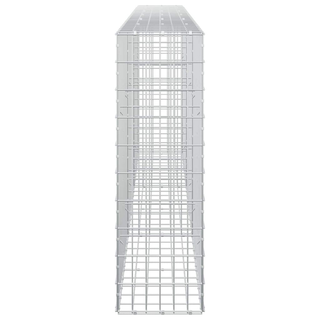 vidaXL Gabion z drutem 5 mm i siatką 5x10 cm 300x30x100 cm