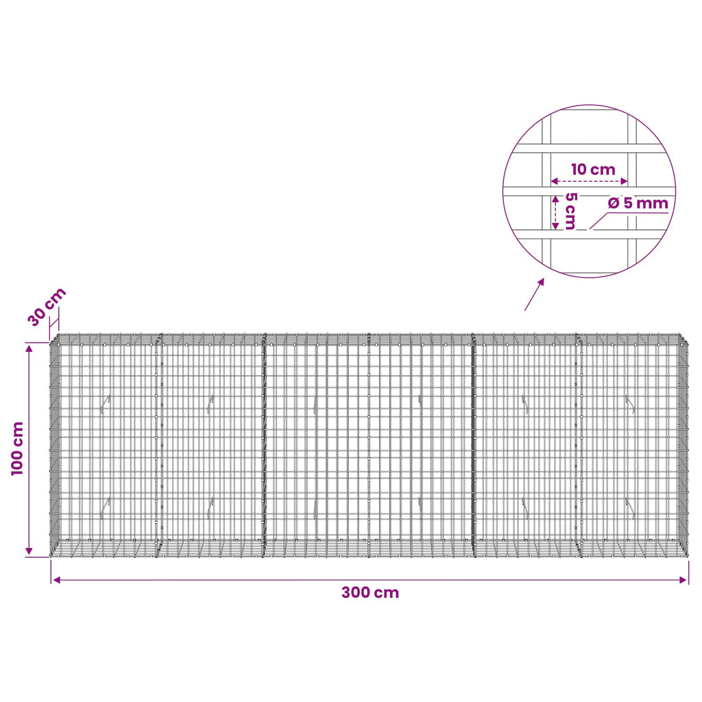 vidaXL Gabion z drutem 5 mm i siatką 5x10 cm 300x30x100 cm