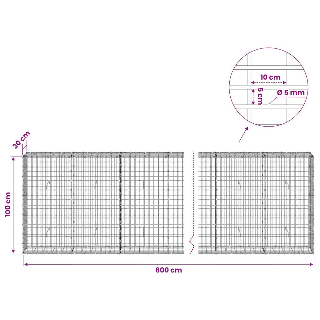 vidaXL Gabion z drutem 5 mm i siatką 5x10 cm 600x30x100 cm