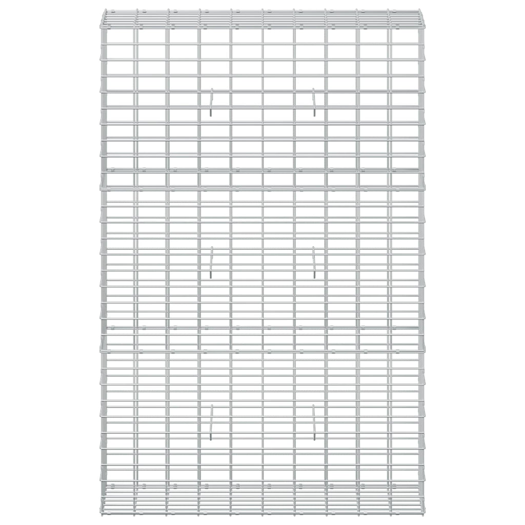 vidaXL Gabion z drutem 5 mm i siatką 5x10 cm 100x30x150 cm
