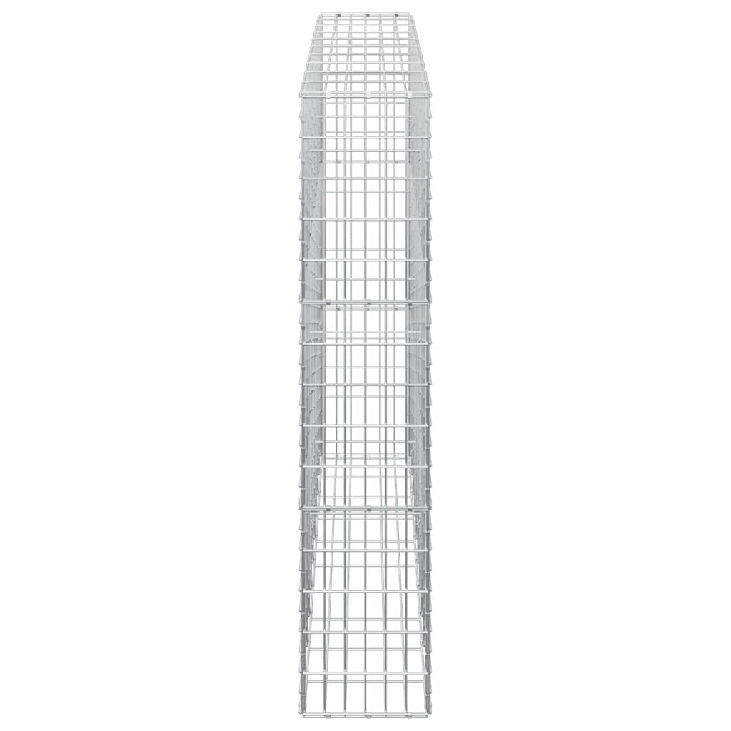 vidaXL Gabion z drutem 5 mm i siatką 5x10 cm 100x30x150 cm