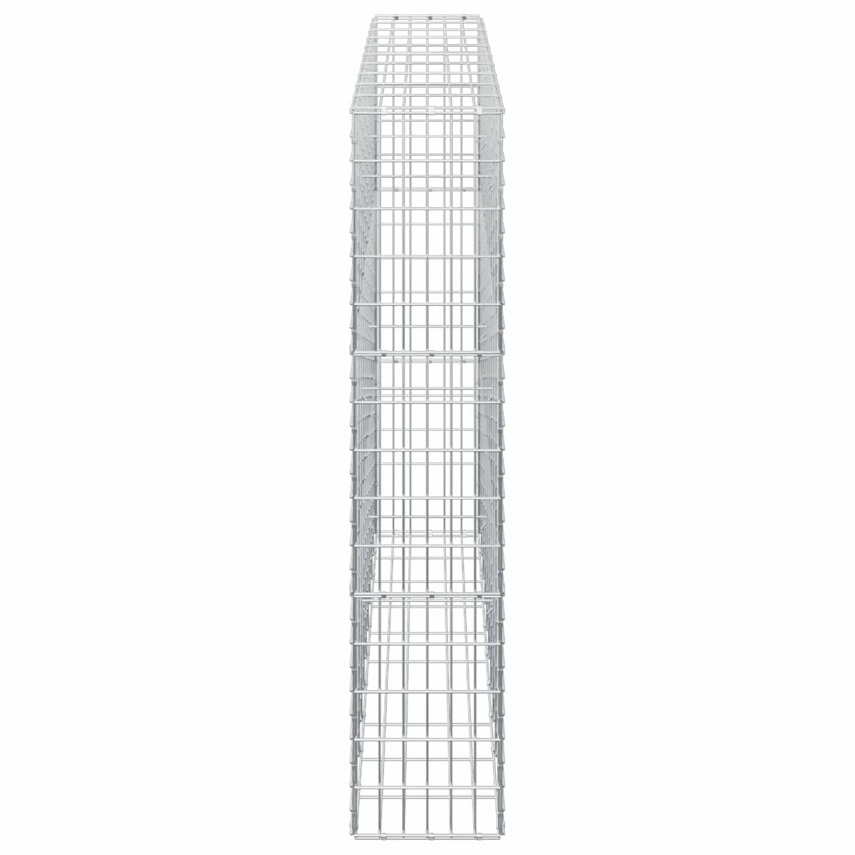 vidaXL Gabion z drutem 5 mm i siatką 5x10 cm 100x30x150 cm