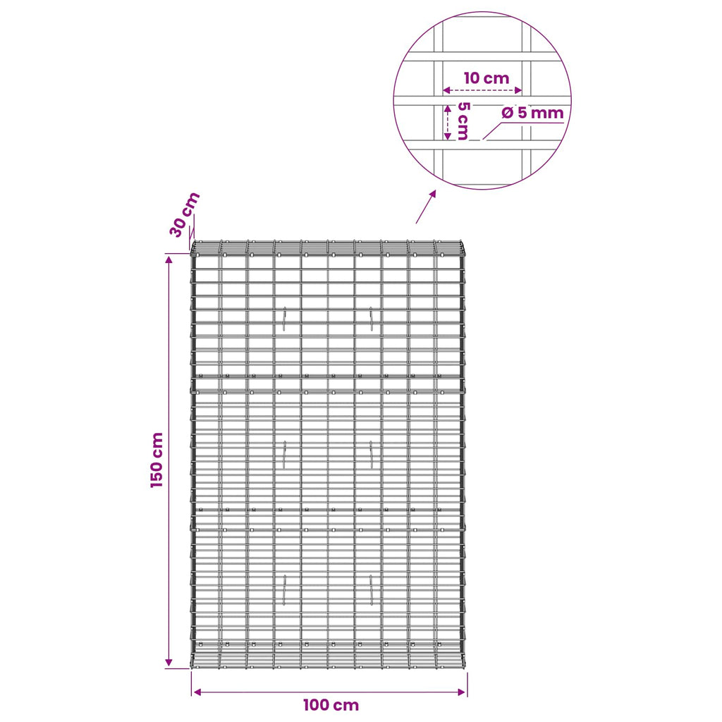 vidaXL Gabion z drutem 5 mm i siatką 5x10 cm 100x30x150 cm