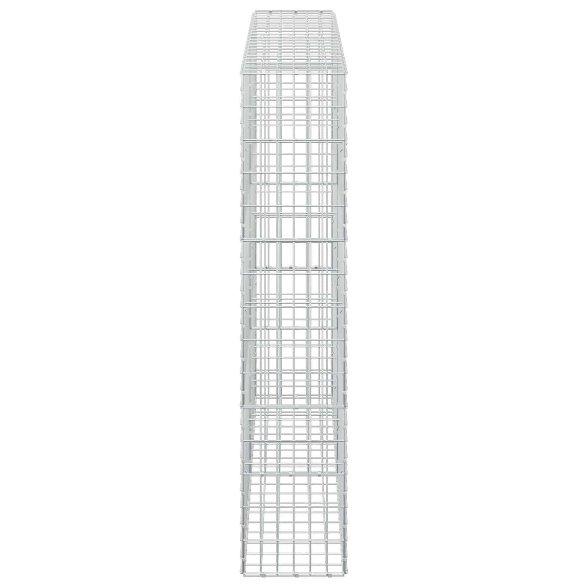 vidaXL Gabion z drutem 5 mm i siatką 5x10 cm 200x30x150 cm