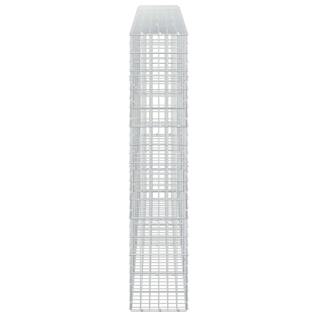 vidaXL Gabion z drutem 5 mm i siatką 5x10 cm 400x30x150 cm