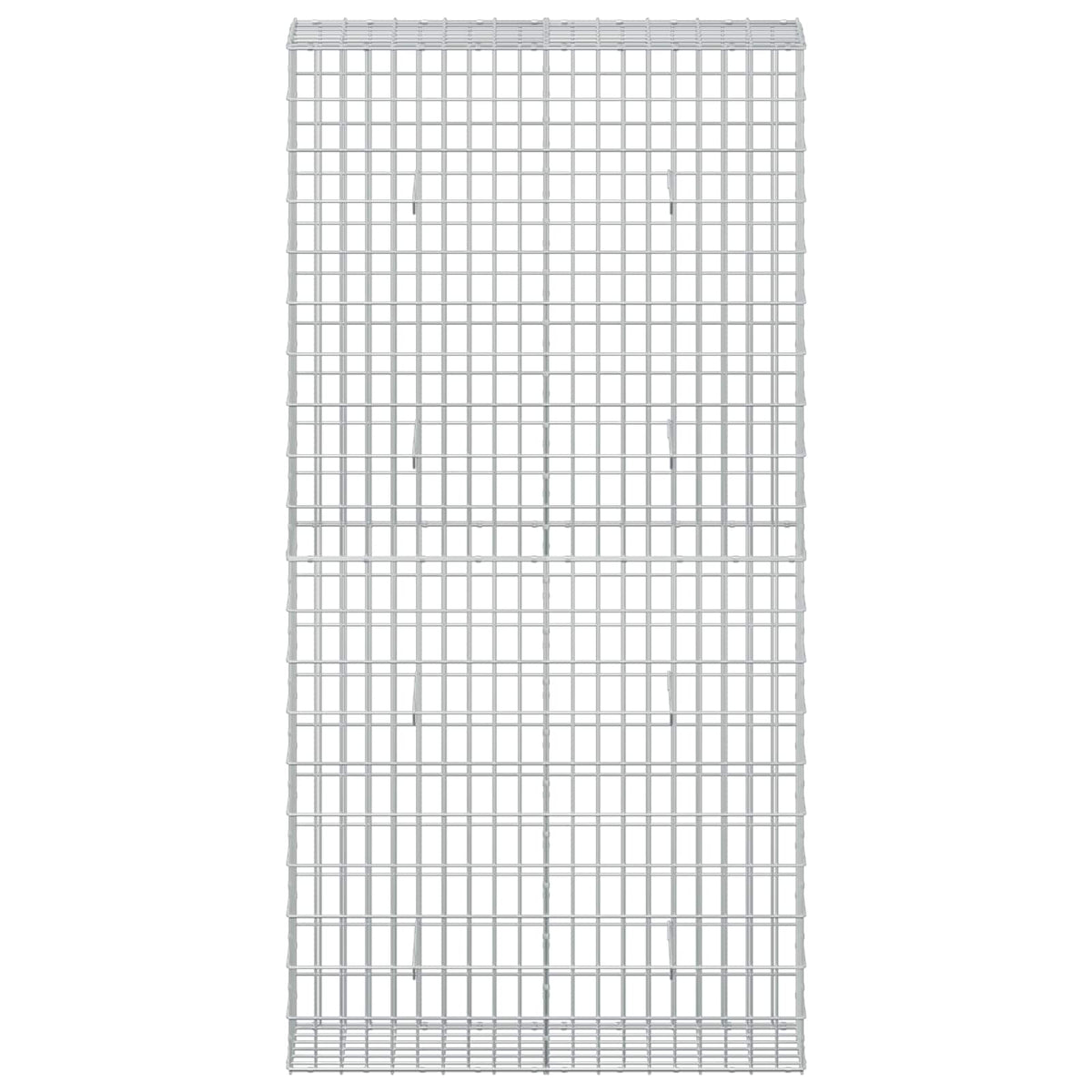 vidaXL Gabion z drutem 5 mm i siatką 5x10 cm 100x30x200 cm