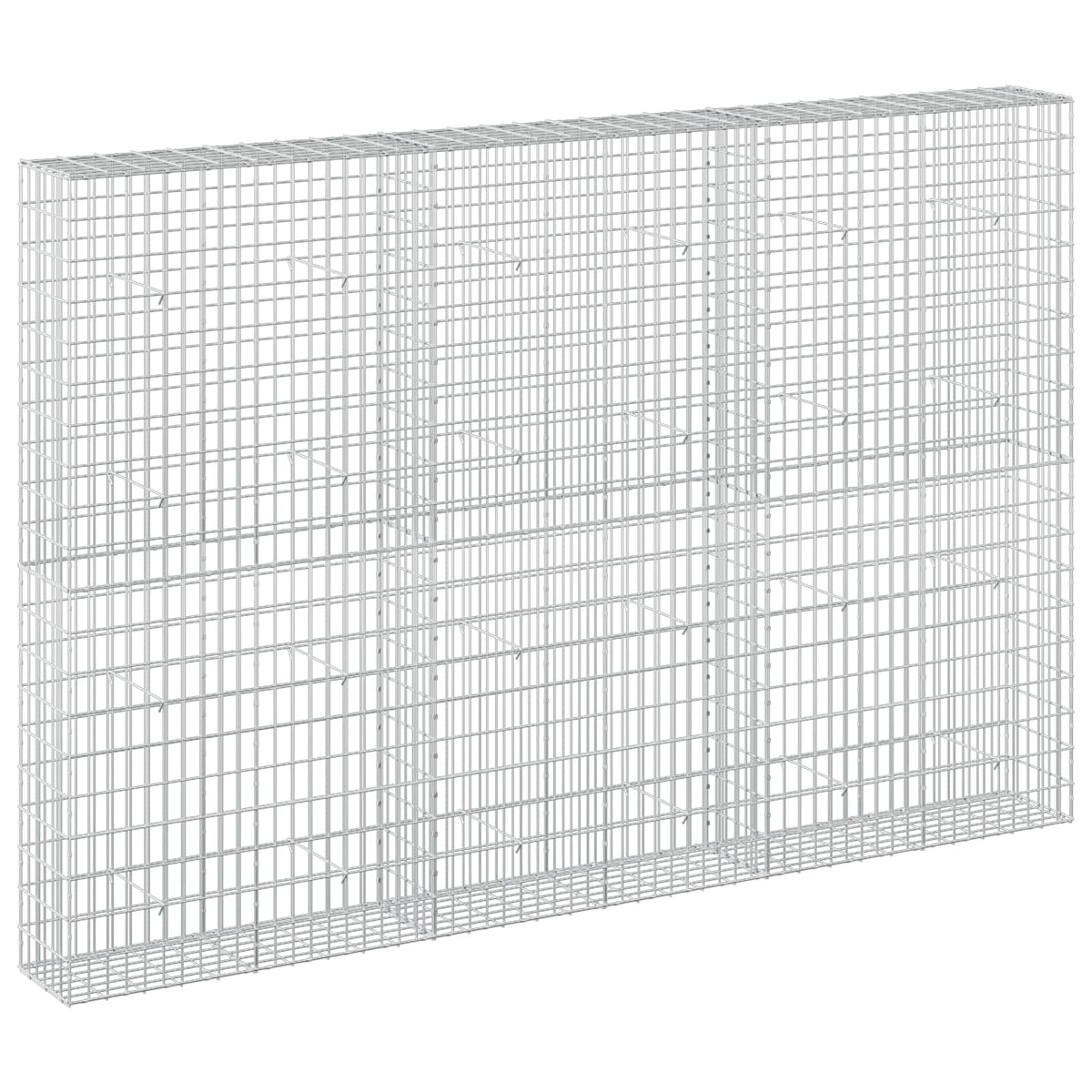 vidaXL Gabion z drutem 5 mm i siatką 5x10 cm 300x30x200 cm