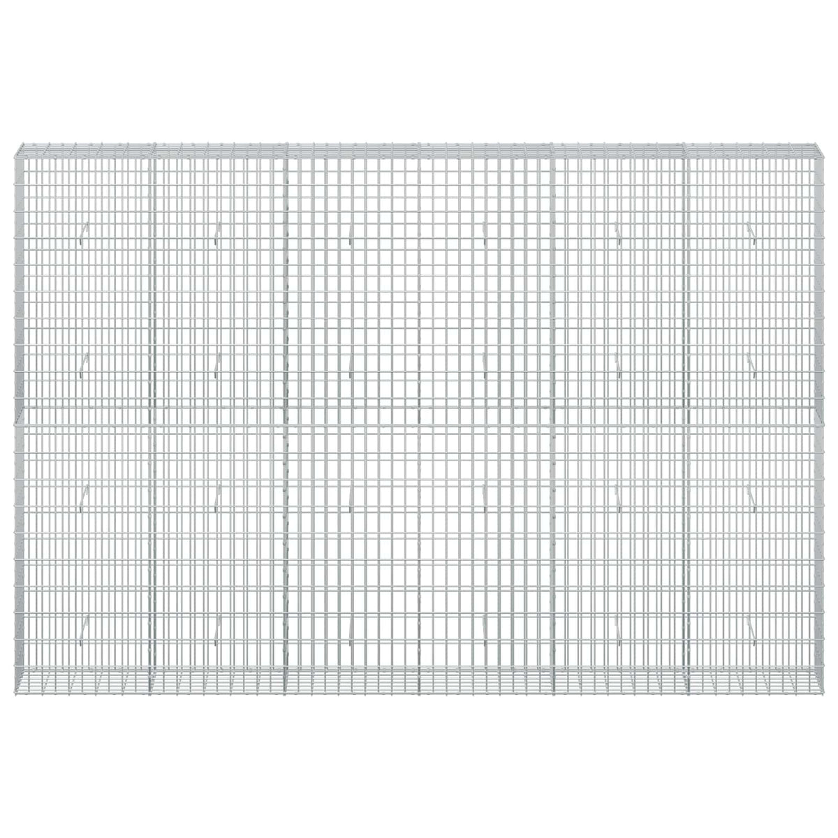 vidaXL Gabion z drutem 5 mm i siatką 5x10 cm 300x30x200 cm