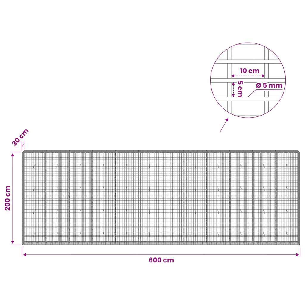 vidaXL Gabion z drutem 5 mm i siatką 5x10 cm 600x30x200 cm
