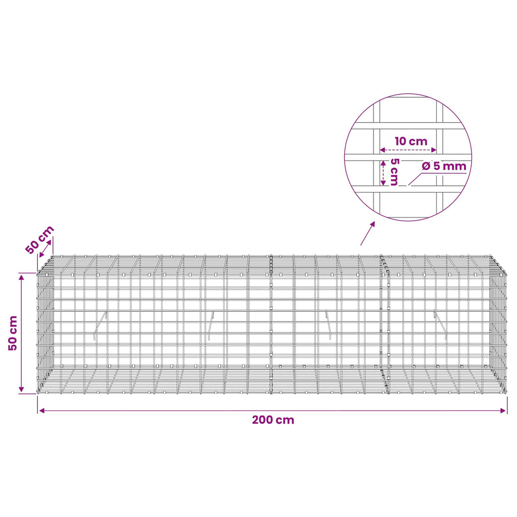 vidaXL Gabion z drutem 5 mm i siatką 5x10 cm 200x50x50 cm