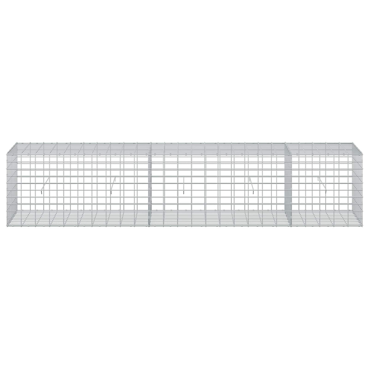 vidaXL Gabion z drutem 5 mm i siatką 5x10 cm 250x50x50 cm