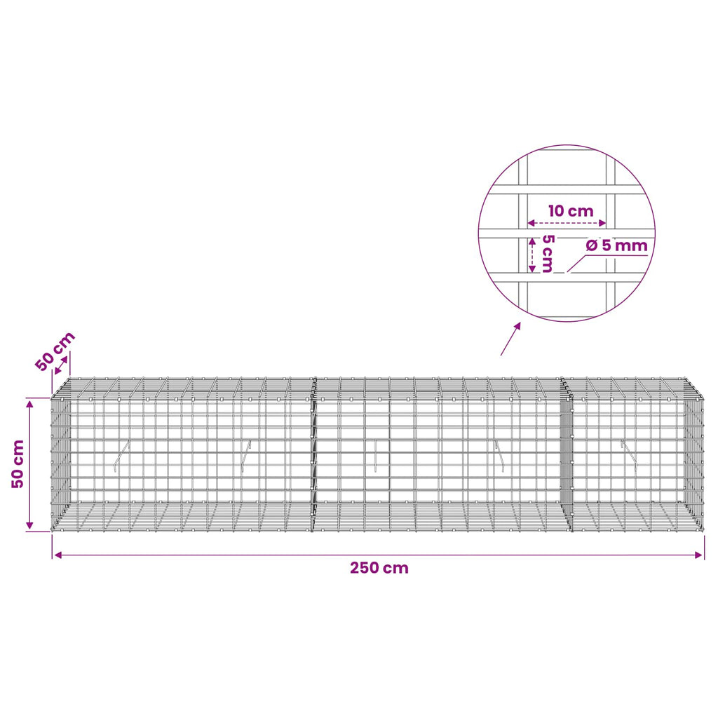 vidaXL Gabion z drutem 5 mm i siatką 5x10 cm 250x50x50 cm