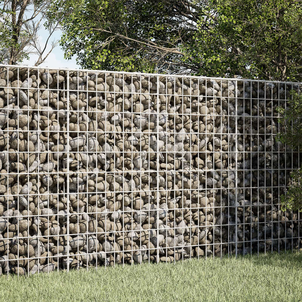 vidaXL Gabion z drutem 5 mm i siatką 5x10 cm 100x50x100 cm