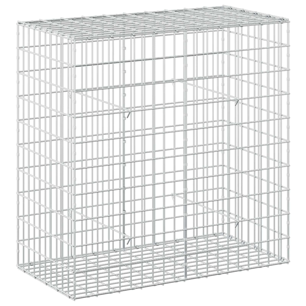 vidaXL Gabion z drutem 5 mm i siatką 5x10 cm 100x50x100 cm